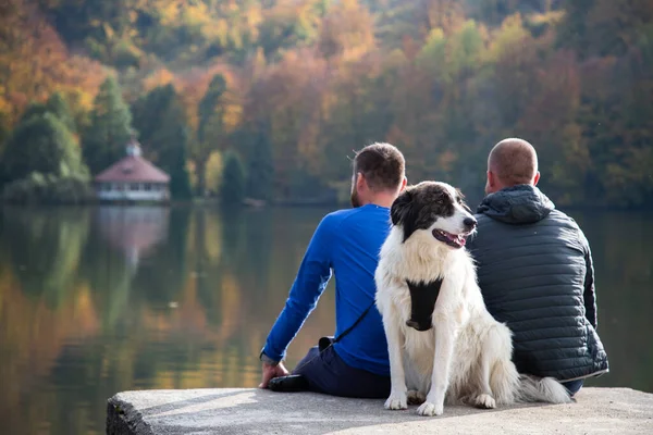 Dos Hombres Perro Sentado Junto Lago Otoño — Foto de Stock