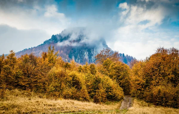 美丽的五彩缤纷的秋天森林景观 — 图库照片