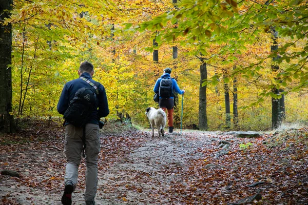 Vrienden Wandelen Prachtige Herfst Landschap Sociale Afstandelijkheid — Stockfoto