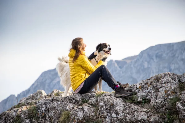Женщина Вершине Горы Собакой Социальное Дистанцирование — стоковое фото