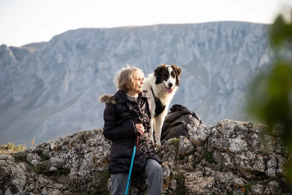 Dağ Köpeği Sosyal Mesafesi Ndeki Yaşlı Kadın — Stok fotoğraf