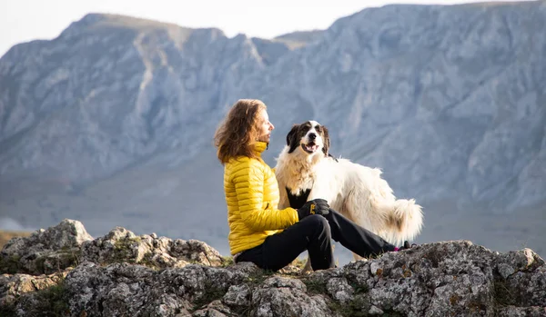 Kobieta Szczycie Góry Odległości Społecznej Psa — Zdjęcie stockowe