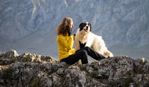 Mujer Cima Montaña Con Perro Social Distanciamiento —  Fotos de Stock