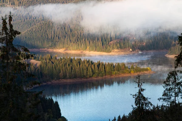 Vue Aérienne Lac Montagne Entouré Sapins — Photo