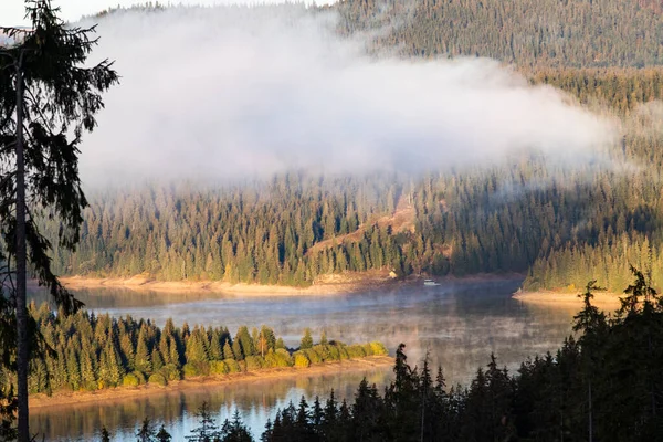 Vue Aérienne Lac Montagne Entouré Sapins — Photo