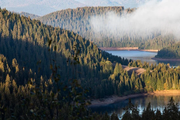 环绕着冷杉树的高山湖鸟瞰图 — 图库照片