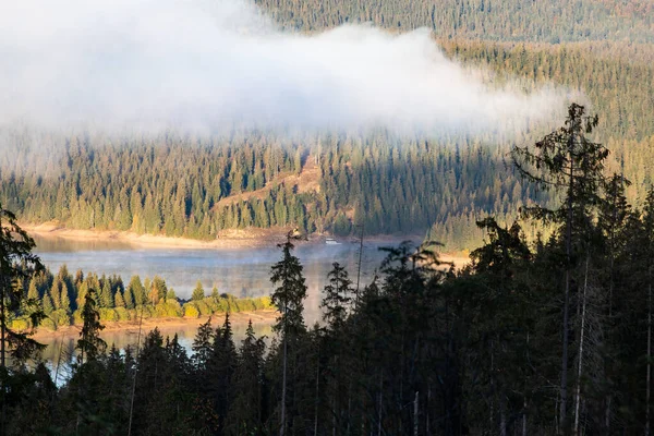 Вид Воздуха Горное Озеро Окружении Елок — стоковое фото