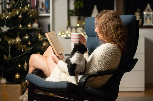 Acogedor Navidad Tiempo Casa Mujer Con Gato Leyendo Libro Hygge — Foto de Stock