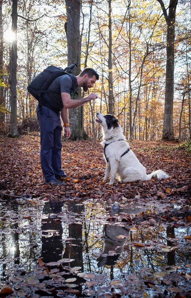 Człowiek Jego Pies Pasterski Jesiennym Lesie — Zdjęcie stockowe