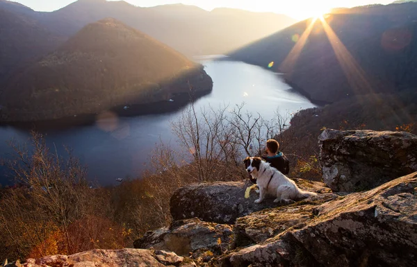 夕暮れ時には湖の景色を眺めながら岩の上に座っている男と犬 — ストック写真