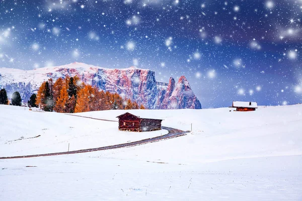 Prachtig Winterlandschap Met Sneeuw Bij Zonsopgang Alpe Siusi Dolomieten Italië — Stockfoto