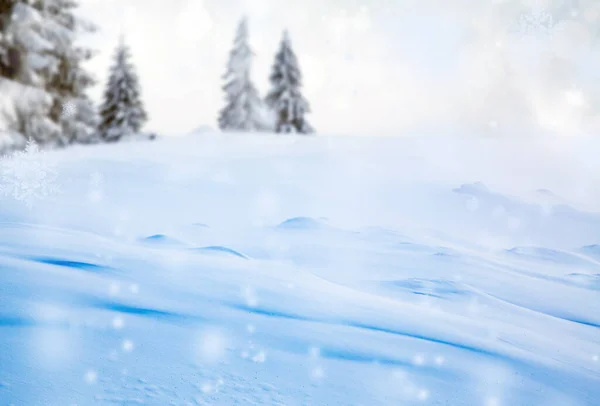 白雪冷杉树的全景圣诞大旗 — 图库照片