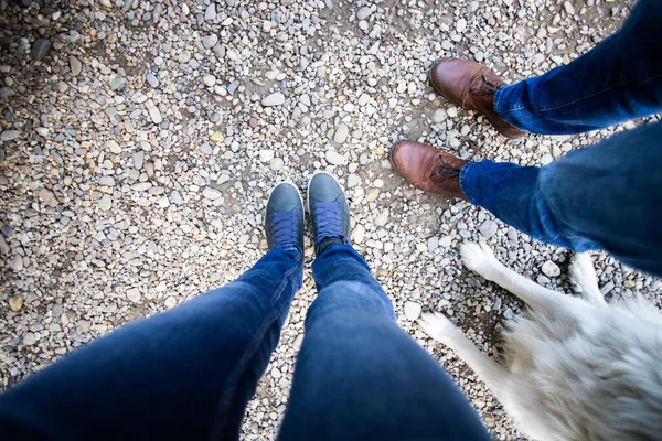 top view of couple feet and their dog