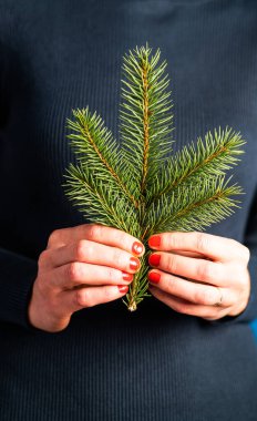 Noel 'de elinde köknar dalı tutan kadın 