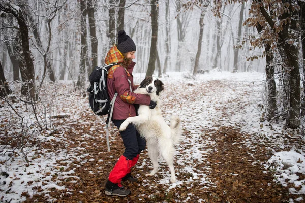 Köpekli Bir Kadın Ayaz Kaplı Ormanda Şarapla Yürüyor — Stok fotoğraf