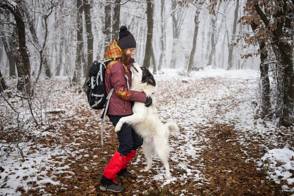 Köpekli Bir Kadın Ayaz Kaplı Ormanda Şarapla Yürüyor — Stok fotoğraf