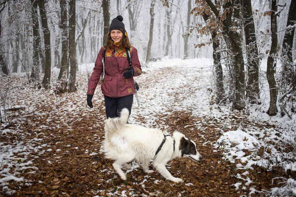 Köpekli Bir Kadın Ayaz Kaplı Ormanda Şarapla Yürüyor — Stok fotoğraf