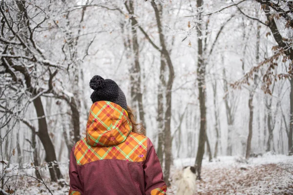 Kışın Buzla Kaplı Ormanda Yürüyen Şapkalı Bir Kadın — Stok fotoğraf