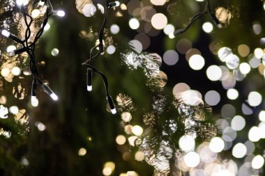Bokeh Noel ışıklarının arkaplanı