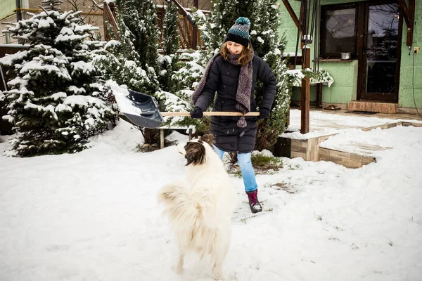 Kürekle Kar Temizleyen Beyaz Köpek Oynayan Bir Kadın Kış Küreme — Stok fotoğraf