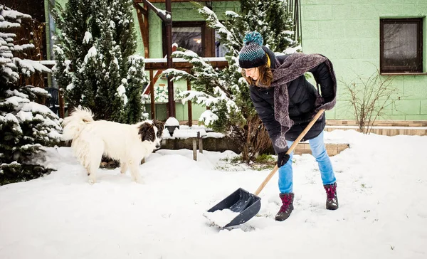 Donna Con Pala Pulizia Neve Cane Bianco Giocare Pala Invernale — Foto Stock