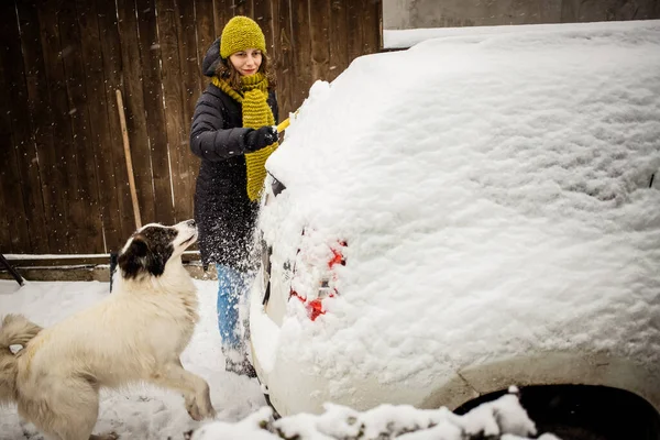 Kobieta Sprzątanie Śniegu Samochodu Zamieci Pies Gra — Zdjęcie stockowe