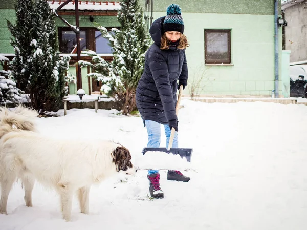 Kürekle Kar Temizleyen Beyaz Köpek Oynayan Bir Kadın Kış Küreme — Stok fotoğraf