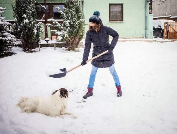 Женщина Лопатой Убирает Снег Играет Белая Собака Зимняя Лопата Удаление — стоковое фото