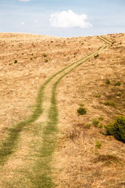 Kurumuş sarı otlu tepe