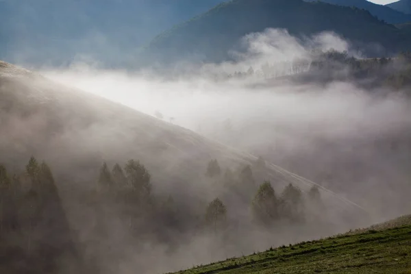 Paysage Estival Brumeux Dans Les Montagnes Salciua Roumanie — Photo