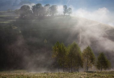 Dağlardaki sisli yaz manzarası, Salciua, Romanya