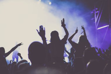 Konserde tezahürat yapan kalabalık - müzik festivali