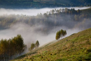 Dağlardaki sisli yaz manzarası, Salciua, Romanya
