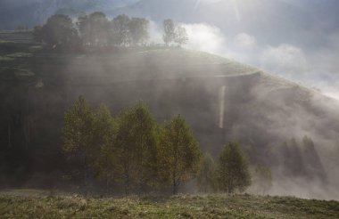 Dağlardaki sisli yaz manzarası, Salciua, Romanya