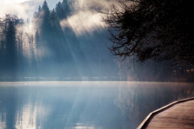 Slovenya, Bled gölünde sisli bir sonbahar sabahı