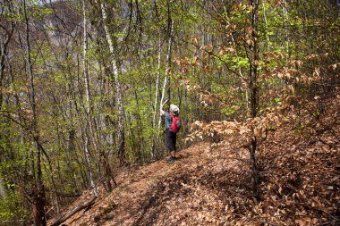 Baharda ormanda gezen mutlu bir adam