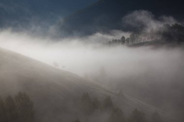 Dağlardaki sisli yaz manzarası, Salciua, Romanya
