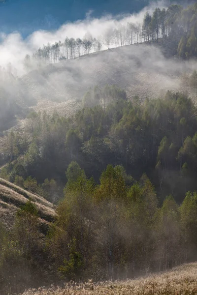 Nebbioso Paesaggio Estivo Montagna Salciua Romania — Foto Stock