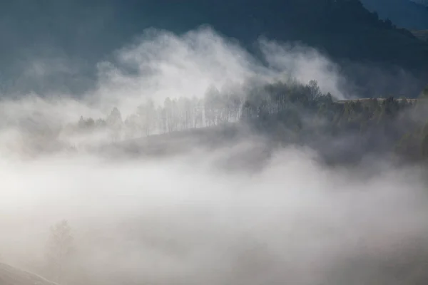 Туманный Летний Пейзаж Горах Сальчуа Румыния — стоковое фото