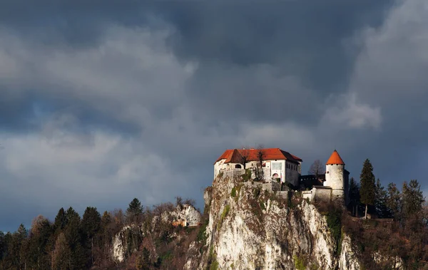 Château Médiéval Bled Slovénie — Photo