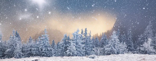 Paisaje Invernal Con Abetos Nevados Las Montañas — Foto de Stock