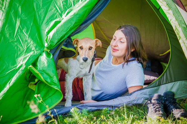 Vrouw Camping Met Schattige Terriër Hond Bergen — Stockfoto