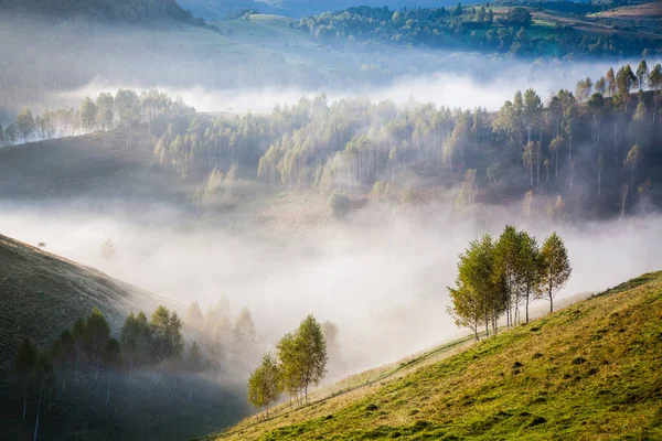 Niebla Paisaje Verano Las Montañas Salciua Rumania — Foto de Stock