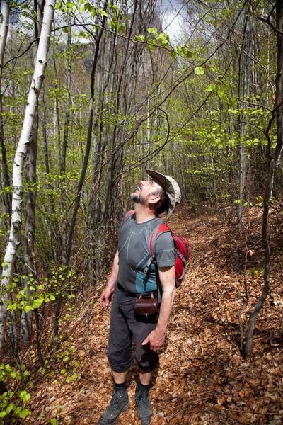 Homme Heureux Trekking Dans Forêt Printemps — Photo