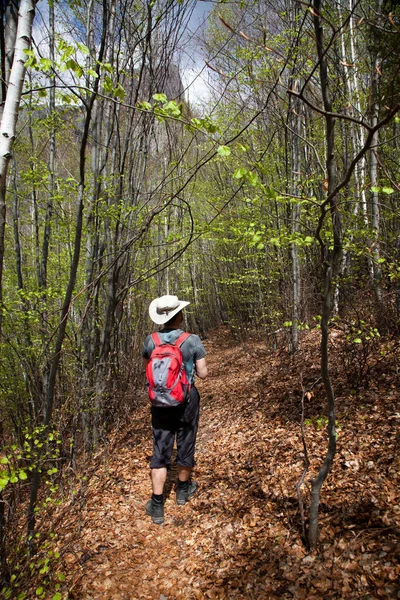 Happy Man Trekking Het Bos Het Voorjaar — Stockfoto