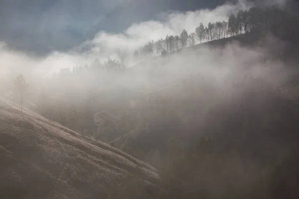 山の霧の夏の風景 サルシア ルーマニア — ストック写真