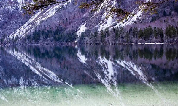 Vista Panorâmica Sobre Lago Bohinj Eslovénia — Fotografia de Stock