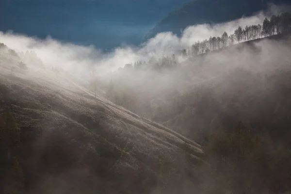 Mlhavá Letní Krajina Horách Salciua Rumunsko — Stock fotografie