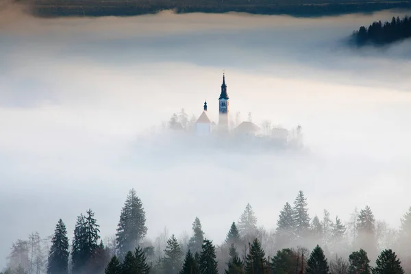 Incrível Nascer Sol Lago Bled Miradouro Ojstrica Eslovênia Europa Fundo — Fotografia de Stock