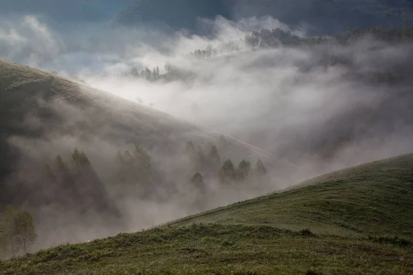 Nebbioso Paesaggio Estivo Montagna Salciua Romania — Foto Stock